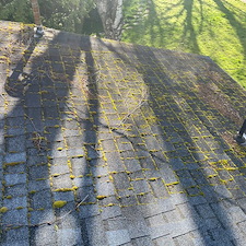 Roof-Wash-in-Pullman 3